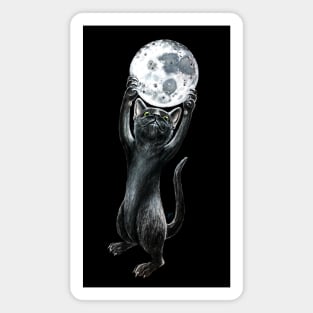 "Moon Kitty" - Cat Noir collection Magnet